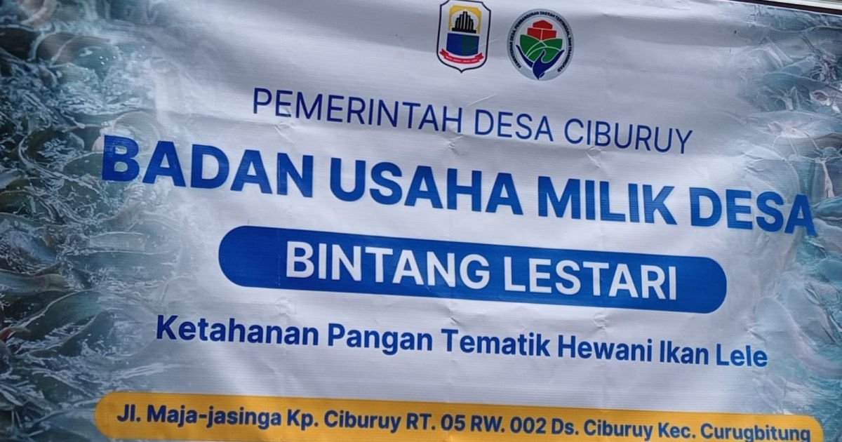 Ayam Petelur Jadi Andalan BUMDes Ciburuy Perkuat Ekonomi Desa