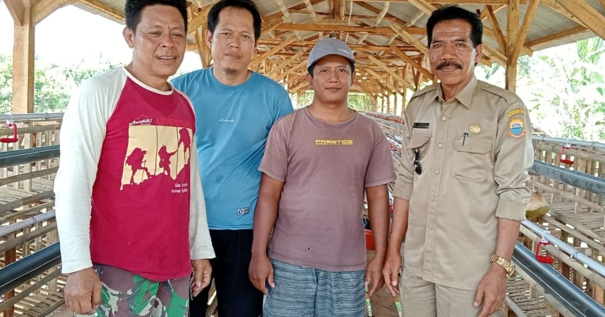 Ketahanan Pangan Desa Cipining Digarap Lewat Ayam Petelur