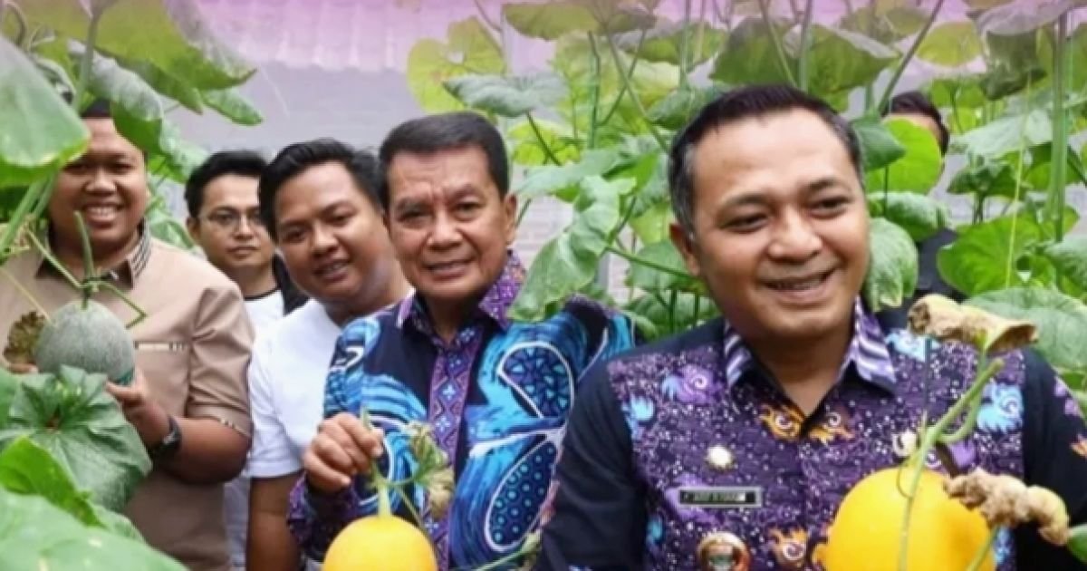 Bupati Tangerang Moch. Maesyal Rasyid didampingi Camat Curug Arif Rahman Hakim saat panen melon hidroponik pada launching Sentra Melon Hidroponik Terpadu “Milenial Hydrofarm” di Desa Curug Wetan, Kecamatan Curug, Kamis (29/1/2026).