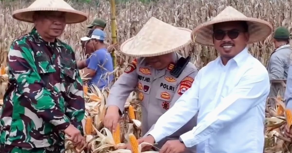 Camat Galih Prakosa: Panen Jagung Desa Badak Anom Bukti Kemandirian Pangan