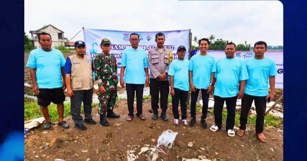 Pemdes Kayu Bongkok Tanam Jagung, Dorong Ketahanan Pangan