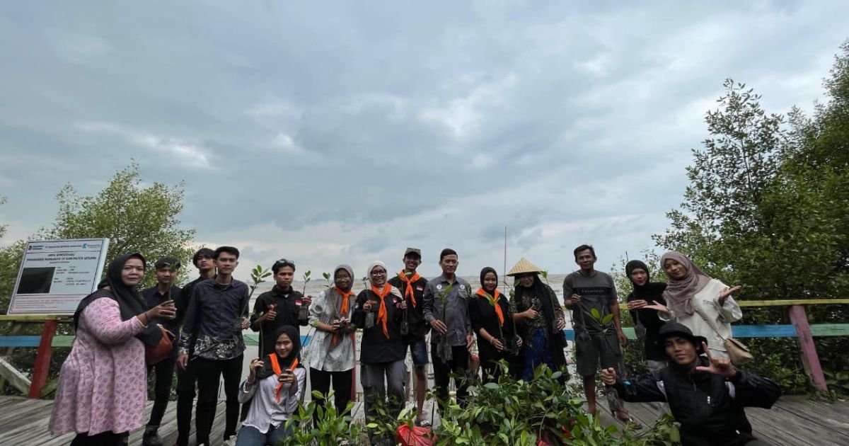 MAPALA GEMPA UNBAJA Lakukan Ekspedisi Penanaman Mangrove di Pantai Gope Karang Antu