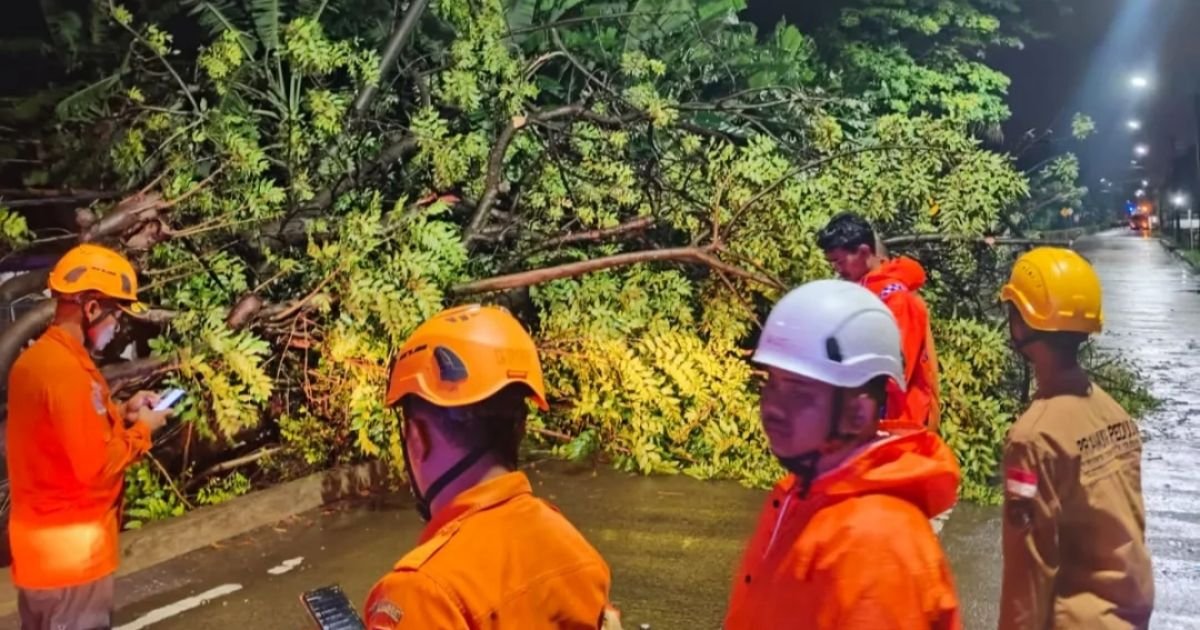 Hujan Deras dan Angin Kencang Tumbangkan Pohon, Akses Jalan PT Statomer Sempat Lumpuh