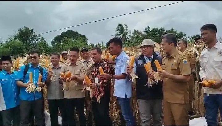Bupati Lebak: Pemuda Kunci Penguatan Pertanian Daerah